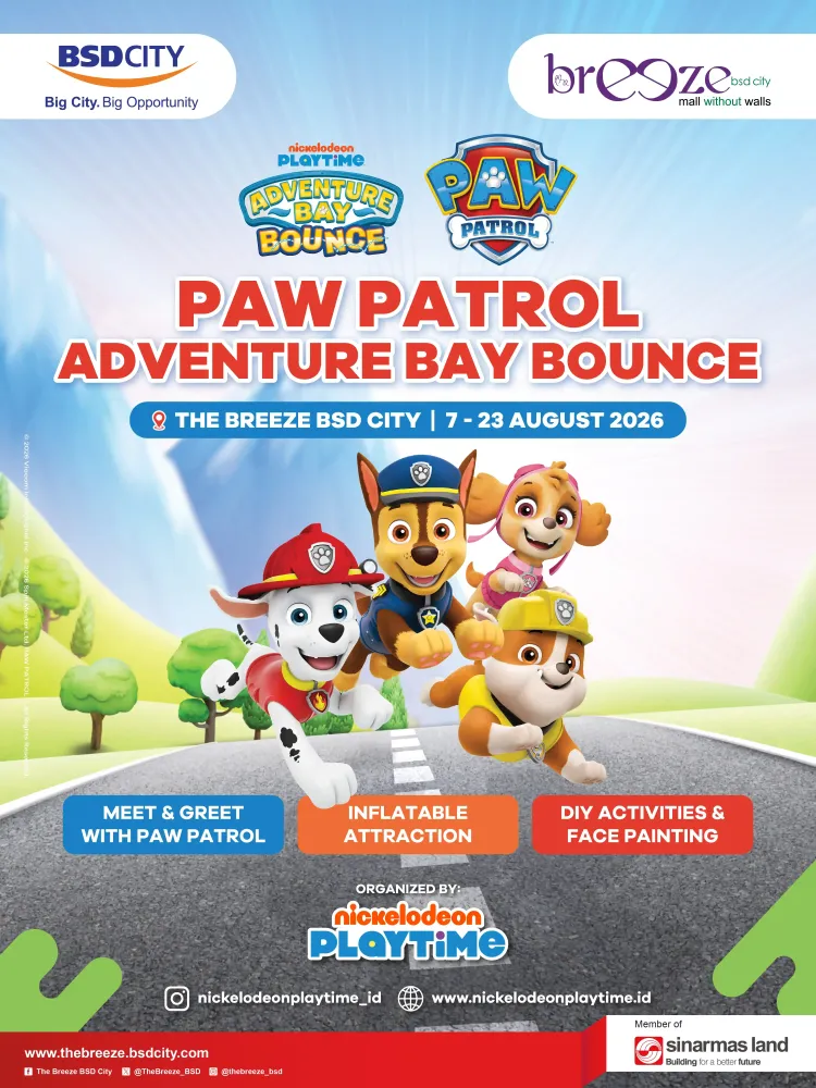 Paw Patrol Adventure Bay Bounce